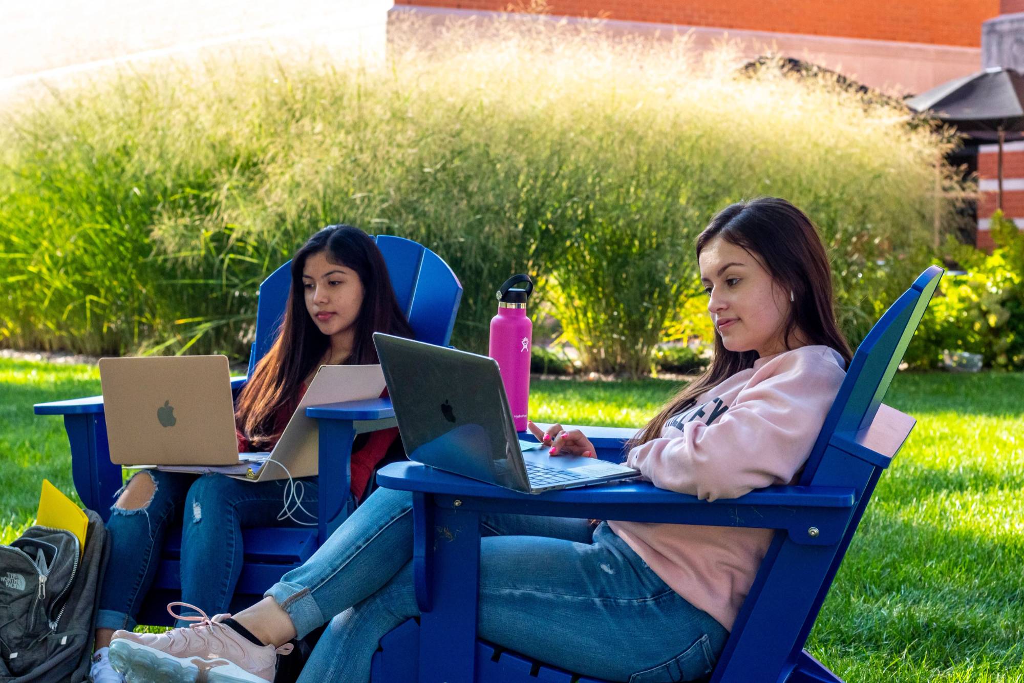 students lounging in deck chairs outside on campus lawn